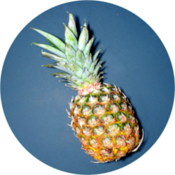 Pineapple Solver Logo